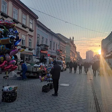 Woody Novi Sad